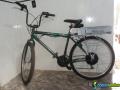 Bicicleta elétrica 1