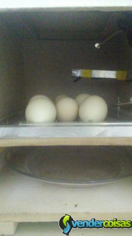 Chocadeira 12 ovos