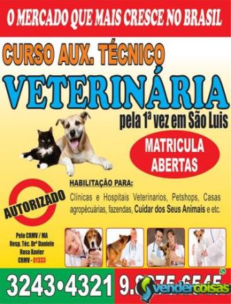 Curso de auxiliar técnico de veterinária 