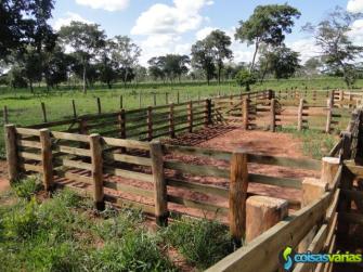 Fazenda à venda na região de nova andradina / ms - ligue: ( 14 ) 9.9707-3330 