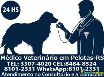 Médico veterinário 24hs em pelotas- rs 