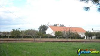 Quinta em odemira alentejo - 3 hectares