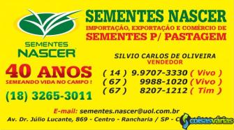 Sementes para pastagem