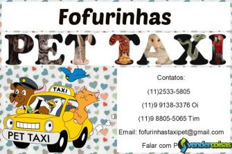 Serviços de pet taxi zona norte sp (11)2533-5805