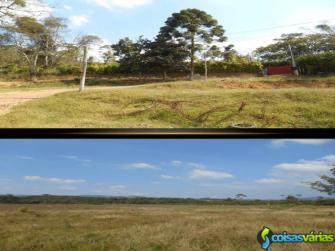 Sitio 20.000m2 plano em pasto com água nos fundos,