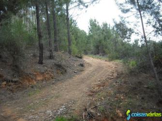 Terreno florestal com 100000 m2