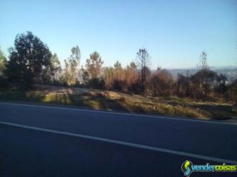 Terreno industrial em amarante