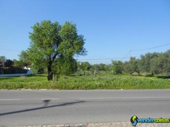 Terreno rústico plano junto à estrada com 2 frente