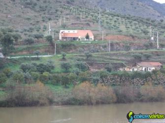 Vende-se terreno junto rio douro c/bar-restaurante + agricultura