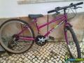 Bicicleta 1