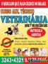 Curso de auxiliar técnico de veterinária  1