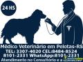 Médico veterinário 24hs em pelotas- rs  1
