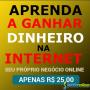 Tenha seu próprio negócio online 1